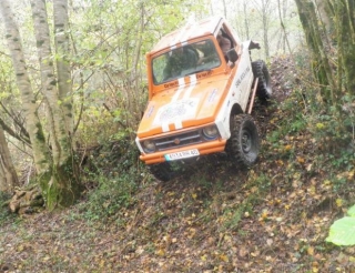  Descenso al bosque 